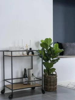 Barcart Vita
