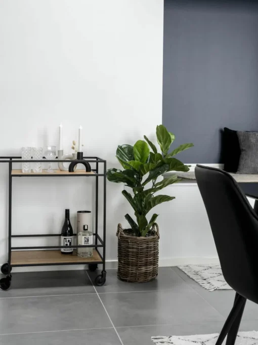 Barcart Vita