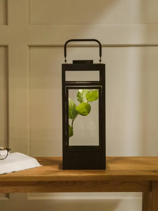 Batterij-aangedreven LED lantaarn Flint