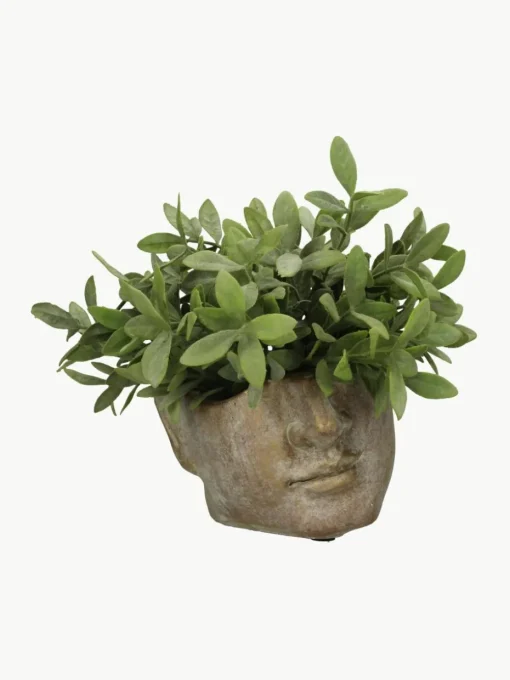Betonnen plantenpot Face met antieke afwerking