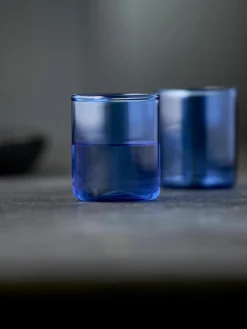 Borrelglaasjes Torino uit borosilicaatglas, 2 stuks