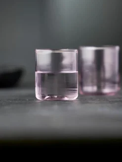 Borrelglaasjes Torino uit borosilicaatglas, 2 stuks