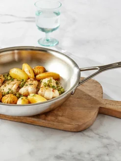 Braadpan Proline van edelstaal