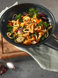 Braadpan Shine van metaal
