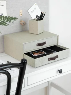 Bureau organizer Birger II