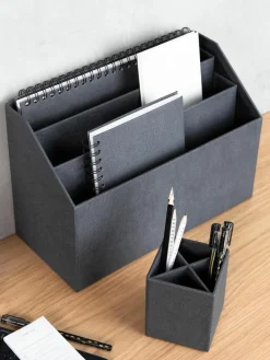 Bureau organizer Hector