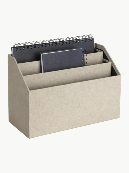 Bureau organizer Hector