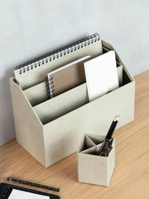 Bureau organizer Hector