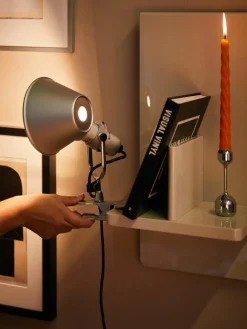 Bureaulamp Tolomeo Pinza met klem