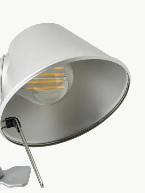 Bureaulamp Tolomeo Pinza met klem