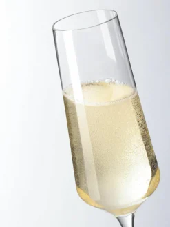 Champagneglas Puccini, 6 stuks