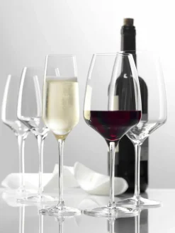 Champagneglazen Experience, 6 stuks