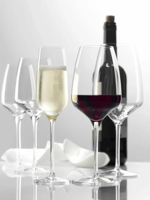 Champagneglazen Experience, 6 stuks