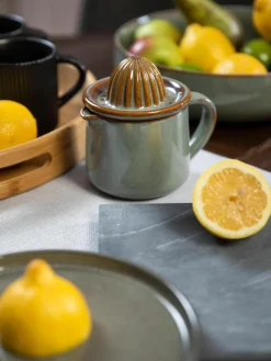 Citruspers Pixie met geïntegreerde kan