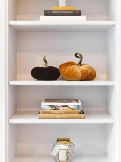 Decoratieve pompoen Pumpis, Ø 24 cm