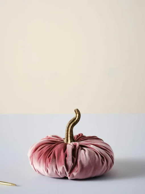 Decoratieve pompoen Pumpis, Ø 19 cm