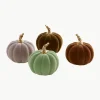 Decoratieve pompoenen Mercy, set van 4