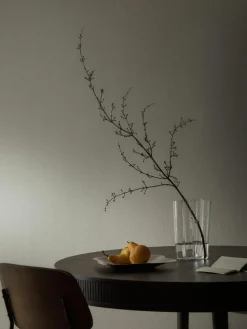Decoratieve schaal Alvar Aalto van edelstaal