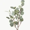 Decoratieve tak Eukalyptus