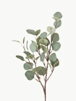 Decoratieve tak Eukalyptus