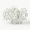 Design decoratief object Coral