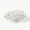 Design decoratief object Coral