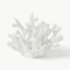 Design decoratief object Coral