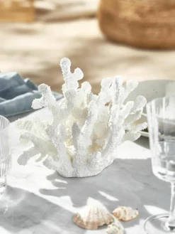 Design decoratief object Coral