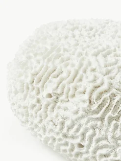 Design decoratief object Coral