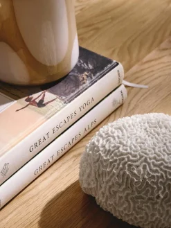Design decoratief object Coral