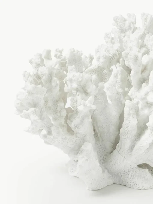 Design decoratief object Coral