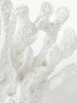 Design decoratief object Coral