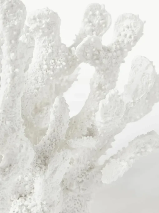 Design decoratief object Coral