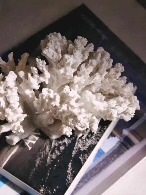 Design decoratief object Coral