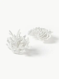 Design decoratief object Coral