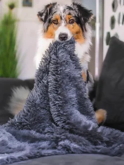 Dierendeken Fluffy uit teddy, in verschillende maten