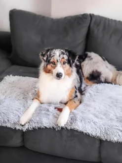 Dierendeken Fluffy uit teddy, in verschillende maten