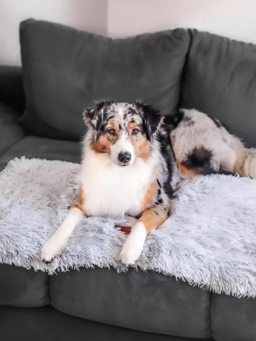 Dierendeken Fluffy uit teddy, in verschillende maten