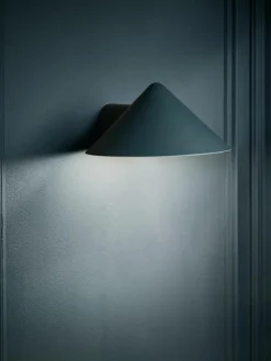 Dimbare LED wandlamp Grasp