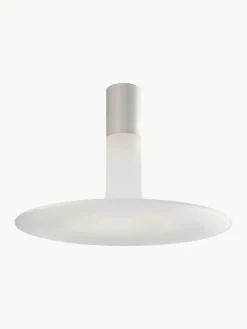 Dimbare plafondlamp Louis