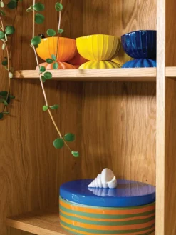 Dolomieten schaaltjes met schelpdieren, set van 2