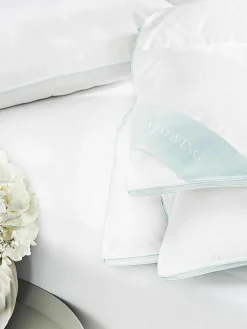 Donzen dekbed Comfort, extra licht