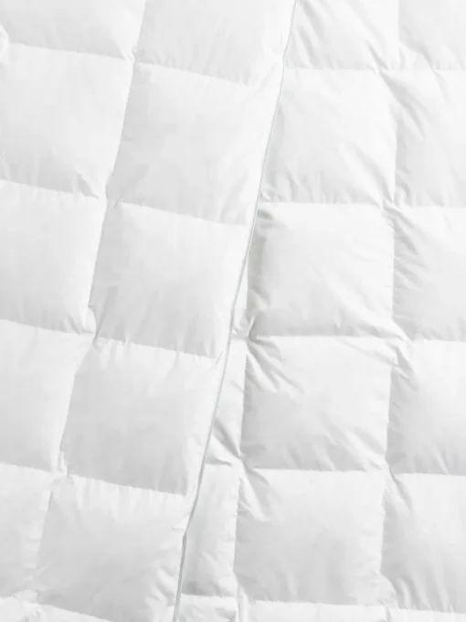 Donzen dekbed Comfort, extra licht
