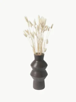 Droogbloemen Lagurus