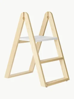 Essenhouten trap Reech