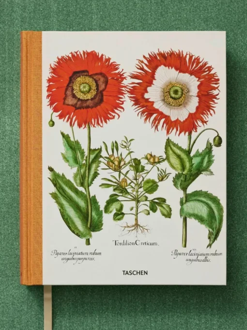 Fotoboek The Garden at Eichstätt