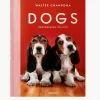 Geïllustreerd boek Dogs Photographs 1941–1991