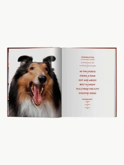 Geïllustreerd boek Dogs Photographs 1941–1991