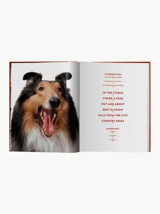 Geïllustreerd boek Dogs Photographs 1941–1991