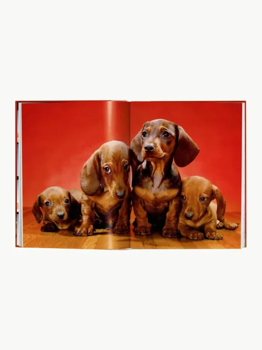 Geïllustreerd boek Dogs Photographs 1941–1991